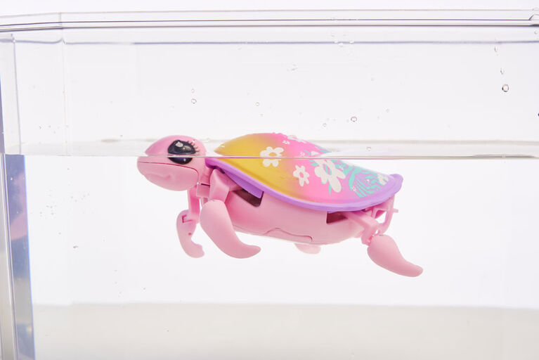 Little Live Pets Lil' Turtle S10 Single Pack Beachbloom