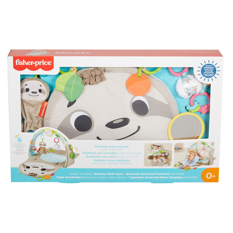 Fisher-Price Ready to Hang Sensory Sloth Gym