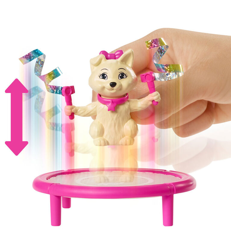 Barbie - Dreamhouse Adventures - Poupée et accessoires - Gymnaste Découverte