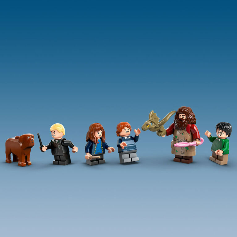 LEGO Harry Potter La cabane de Hagrid : une visite inattendue 76428