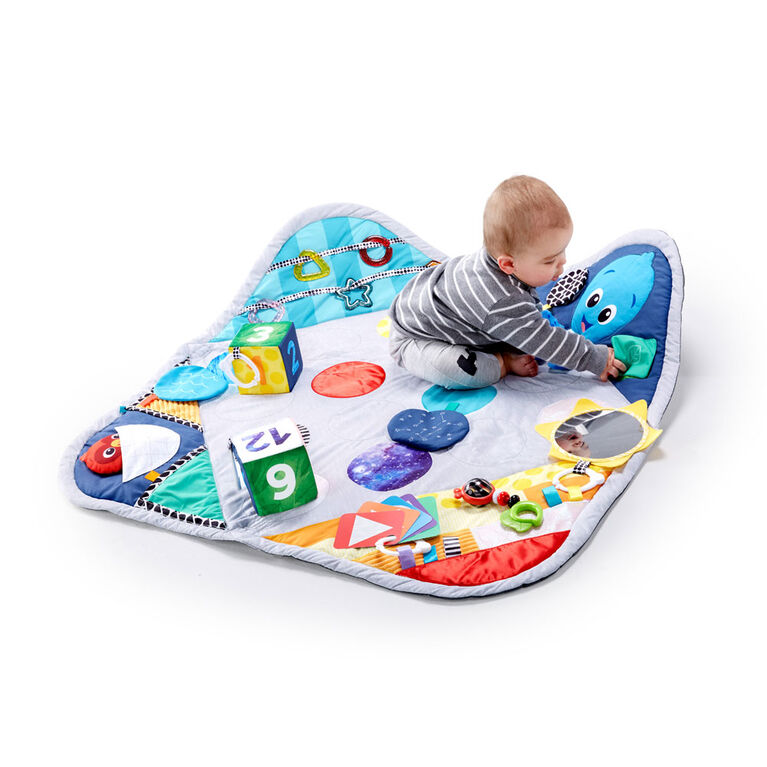 Sensory Play Space Newborn-to-Toddler Discovery Gym.