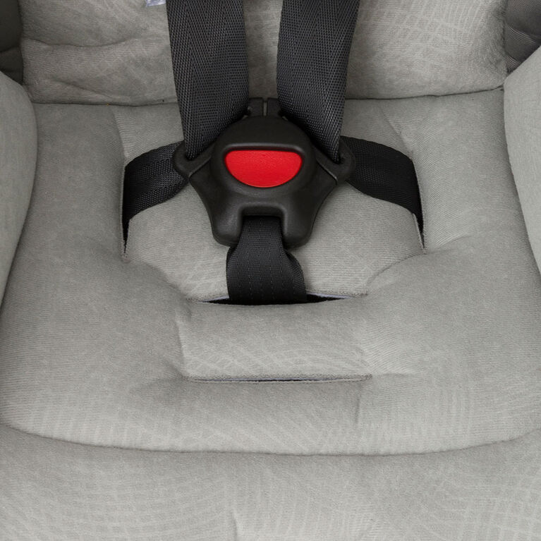Evenflo Titan Convertible Car Seat, Paxton