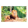 Sure-Lox 4 In 1 Art Gallery Multipack Puzzles - 500 and 1000 Piece Jigsaw Puzzles