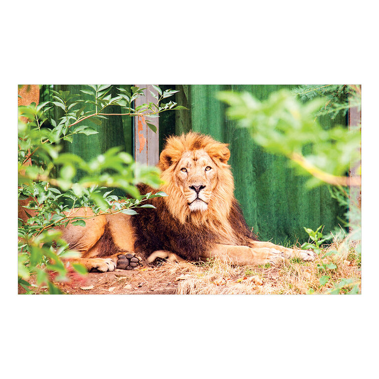 Sure-Lox 4 In 1 Art Gallery Multipack Puzzles - 500 and 1000 Piece Jigsaw Puzzles
