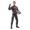 Hasbro Marvel Legends Series Ant-Man, Ant-Man and the Wasp: Quantumania Marvel Legends Action Figures, 6 Inch