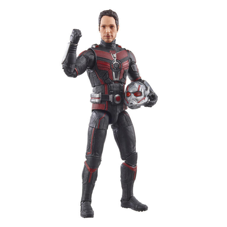 Hasbro Marvel Legends Series Ant-Man, Ant-Man and the Wasp: Quantumania Marvel Legends Action Figures, 6 Inch