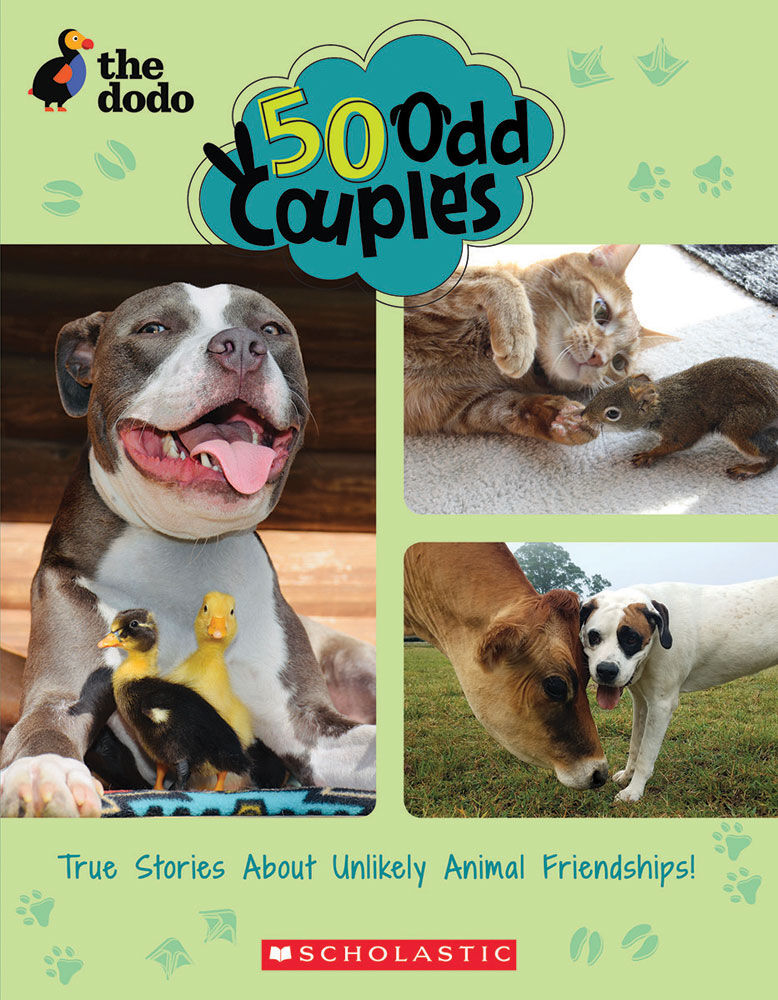 The Dodo: 50 Odd Couples - English Edition