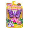 Little Live Pets Lil' Butterfly Single Pack - Star Wings