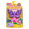 P'tit papillon Little Live Pets - Ailes sublimes