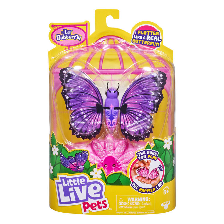 Little Live Pets Lil' Butterfly Single Pack - Star Wings