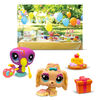 Littlest Pet Shop - Petfluencers Garden Party - 1 per order, colour may vary (Each sold separately, selected at Random)