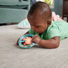 Fisher Price Shake & Spin Axolotl Rattle Baby Toy with Fine Motor Activity for Newborns