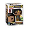 Funko POP! Animation Thundarr The Barbarian Princesss Ariel Vinyl Figurine - R Exclusive - Available online only