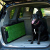 Gen7Pets Natural-Step Ramp 72in - Poly-Grass