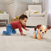VTech Baby Explore & Move With Puppy - French Edition