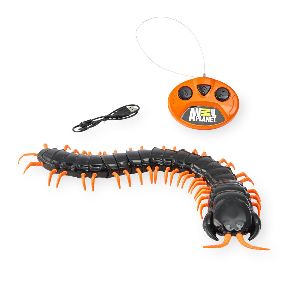 rc centipede