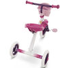 Huffy Disney Princess Trike - R Exclusive