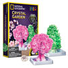 National Geographic Crystal Garden Grow Kit