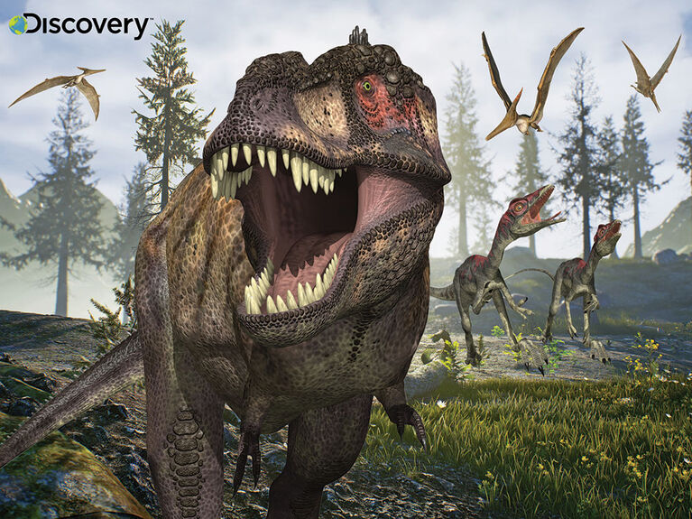 Prime 3D: Puzzle de découverte du tyrannosaure avec peluche - 48 pièces