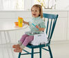 Fisher-Price Healthy Care Deluxe Booster Seat - R Exclusive