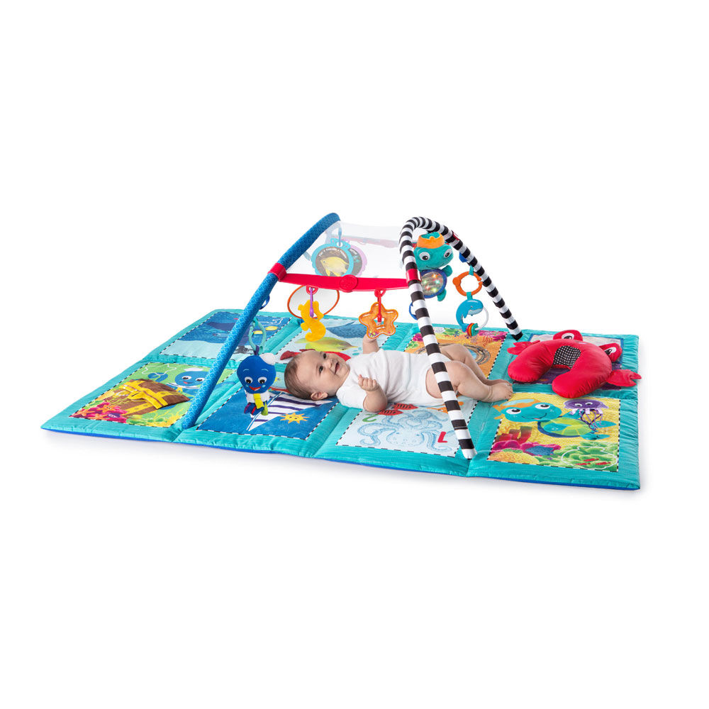 Baby einstein 2025 play mat