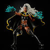 Hasbro Marvel X-Men Series 6-inch Collectible Storm and Marvel's Thunderbird Action Figure Toys - R Exclusive