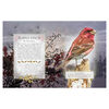 The Little Book of Woodland Bird Songs  - English Edition