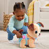 VTech Baby Explore & Move With Puppy - French Edition