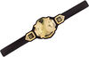 WWE NXT Championship Belt - English Edition