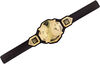 WWE NXT Championship Belt