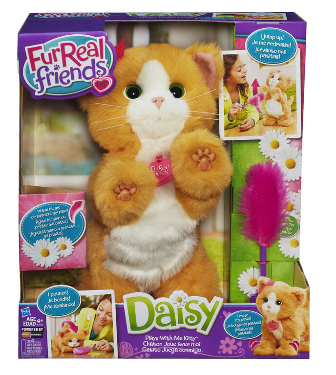 FurReal Friends - Daisy, Mon chat joueur. - Notre Exclusivité