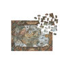 Dragon Age: World Of Thedas Map Puzzle - English Edition