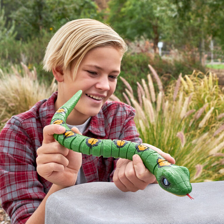 Zuru Robo Alive Slithering Snake Robotic Toy (Colour May Vary)