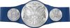 WWE Smackdown Tag Team Championship