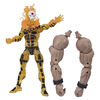 Marvel Legends Series Sunfire Action Figure