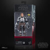 Star Wars The Bad Batch Collectible Figure