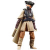 Star Wars The Black Series Archive Princess Leia Organa (Boushh) Toy 6-Inch-Scale Star Wars: Return of the Jedi Collectible Action Figure