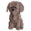 Peluche de 32 cm (12,5 pouces) de Fang de Harry Potter, Grande Peluche de Chien - Notre exclusivité