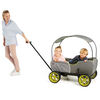 Hauck Eco Wagon