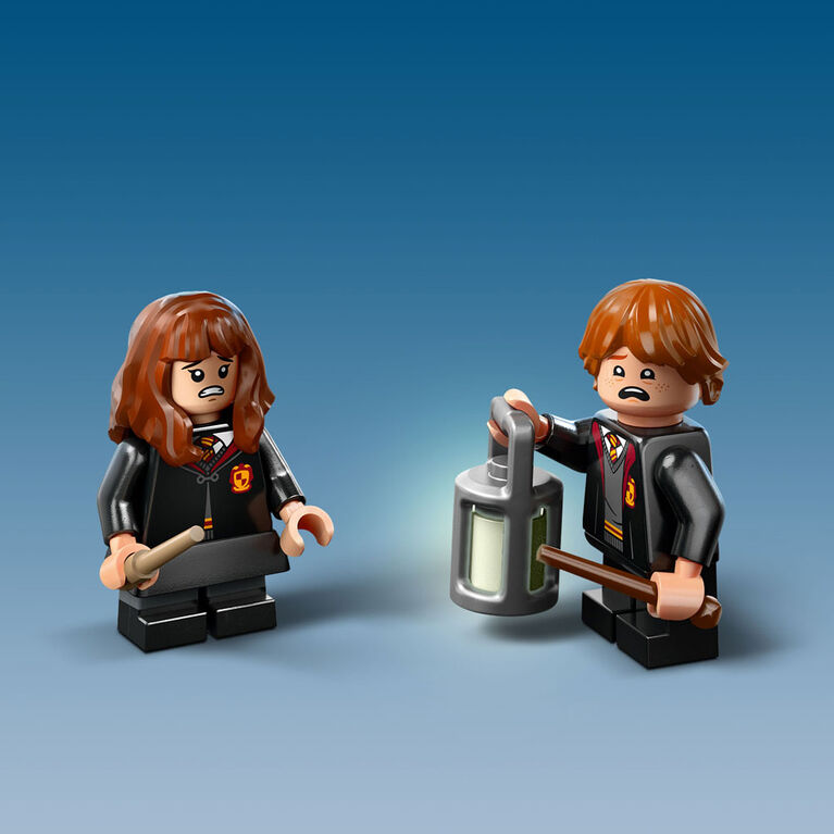 LEGO Harry Potter La Forêt interdite : les créatures magiques 76432