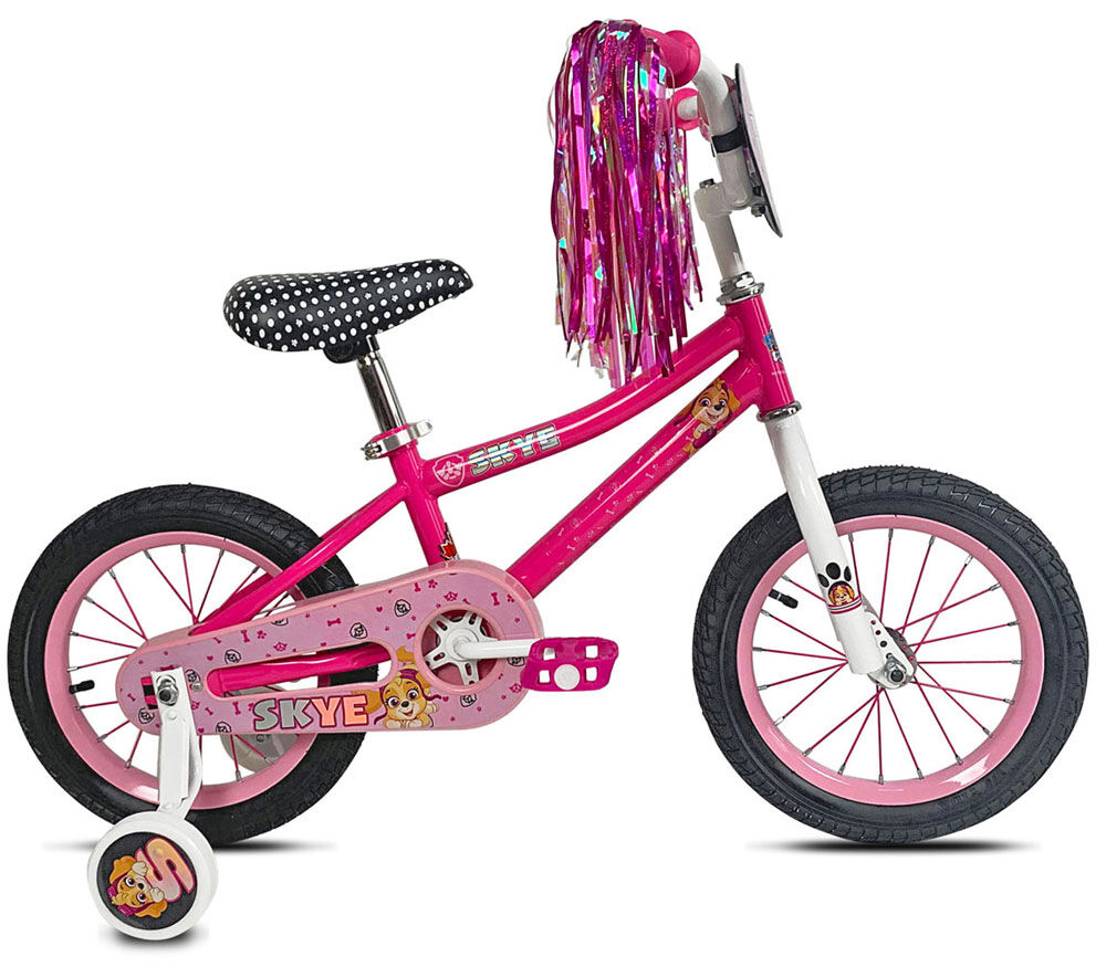 Paw patrol hot sale skye bike