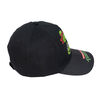 Teenage Mutant Ninja Turtles Hat Black Size 4-6X
