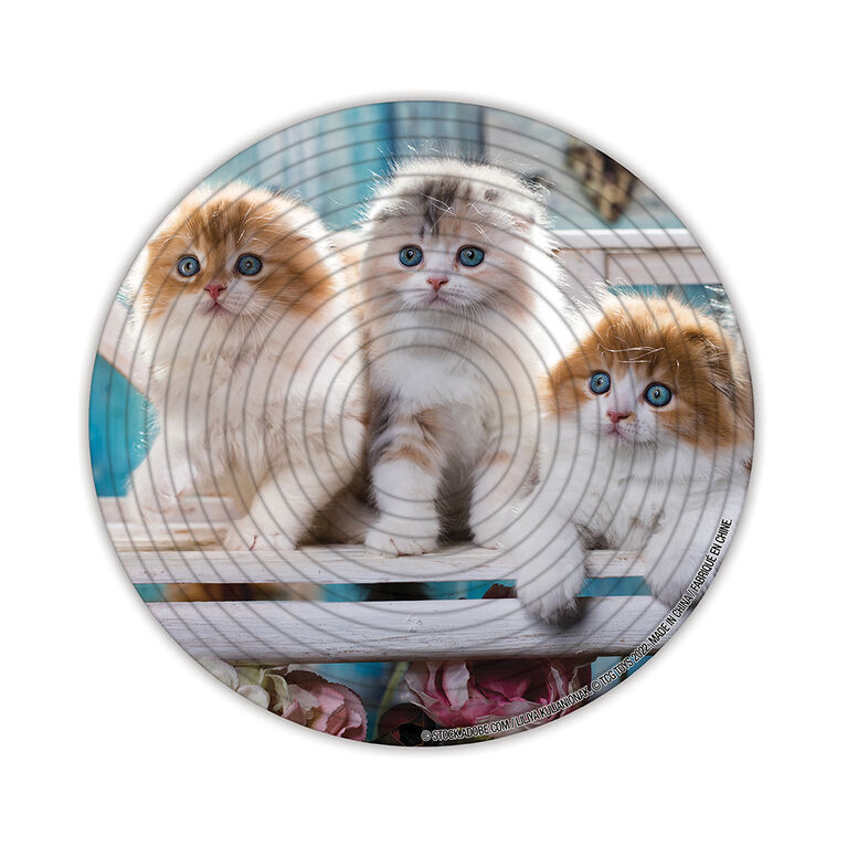 The Canadian Group - Spin Flip Puzzle Assorted Styles