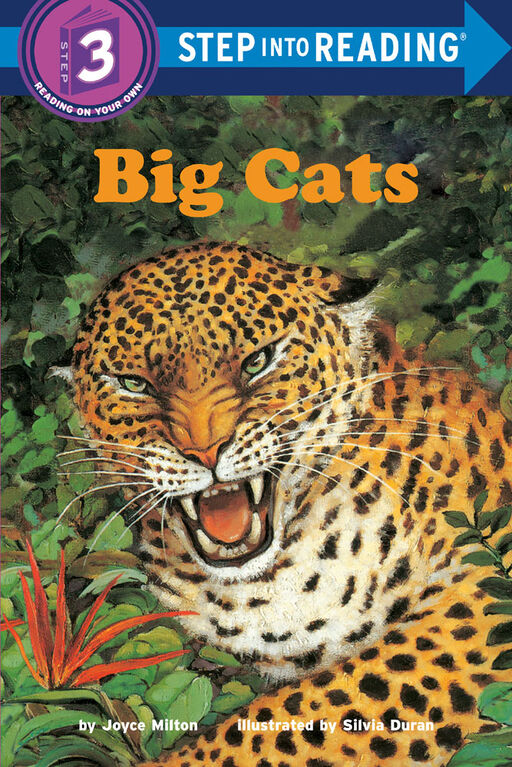 Big Cats - Édition anglaise