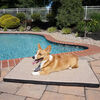 Gen7 Pets Cool-Air Pad Medium - Sand