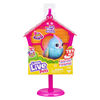 P'tit Oiseau et cabane d'oiseau Little Live Pets- Gazou pastel