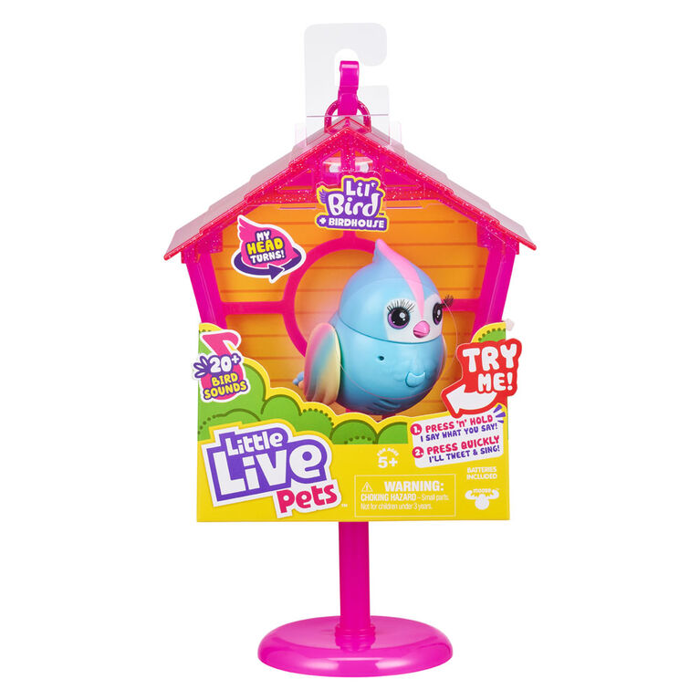 P'tit Oiseau et cabane d'oiseau Little Live Pets- Gazou pastel