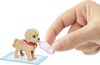 Barbie Doll and Accessories Pup Adoption Playset with Doll, 2 Puppies and Color-Change