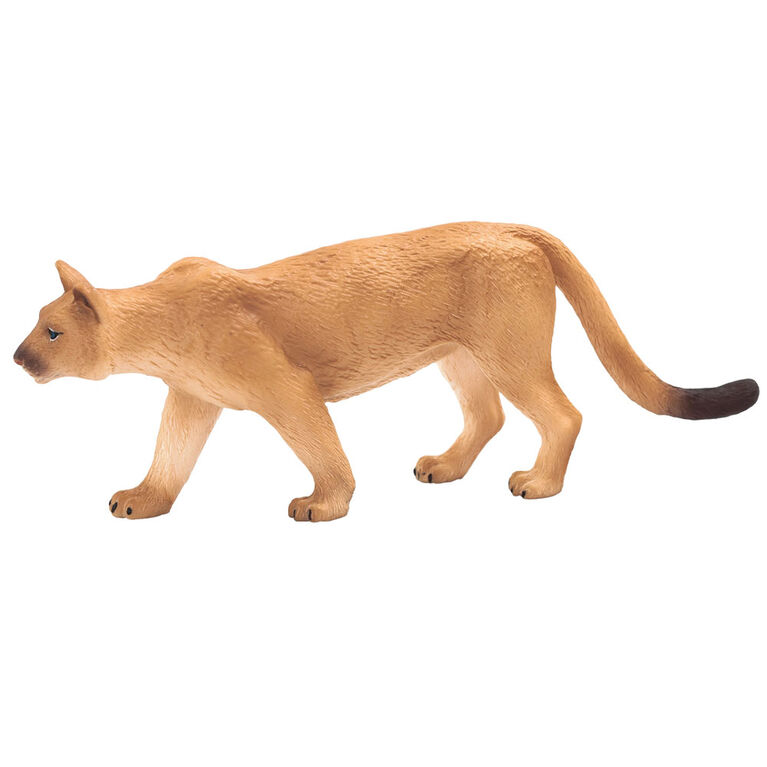 ALEX - Mountain Lion - Large