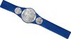 WWE Smackdown Tag Team Championship